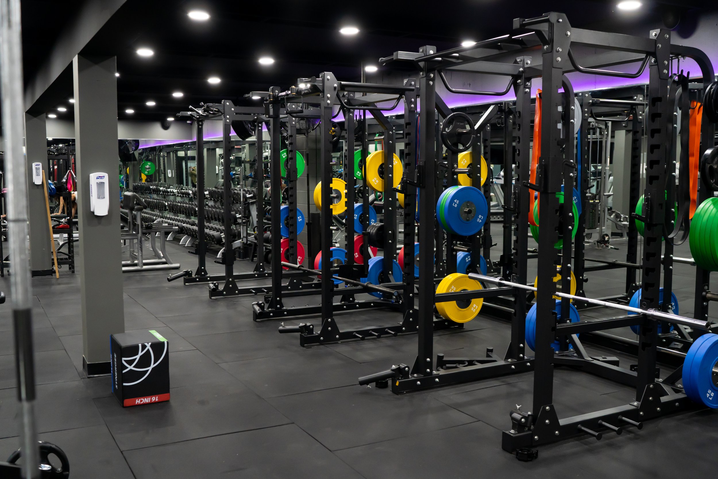 Exercise Facility Online Campaigns